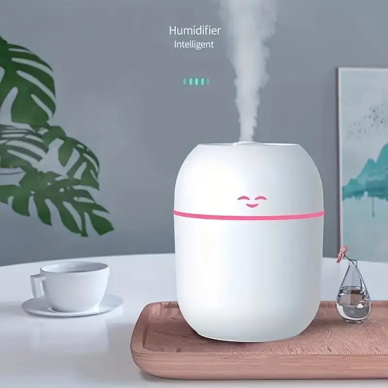 HUMIDIFICADOR PORTATIL USB